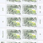 The Exotic Garden Of Monaco