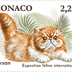 Internationale Katzenausstellung
