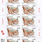 Internationale Katzenausstellung