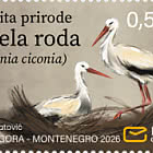 Nature Protection White Stork - Ciconia Ciconia