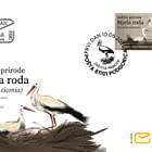 Nature Protection White Stork - Ciconia Ciconia
