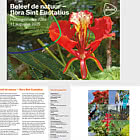 Vivi la Natura - Flora Sint Eustatius