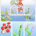 Flora de San Eustaquio