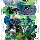 Natur Erleben – Vögel Saba