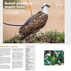 Natur Erleben – Vögel Saba