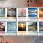 Love for Landscape