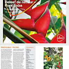 Découvrez la Nature - Flora Saba