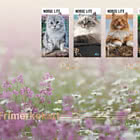 Cats - Golden FDC