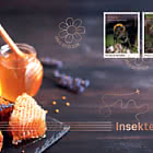 Insetti