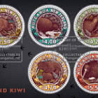 Round Kiwi