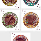 Round Kiwi