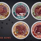 Round Kiwi