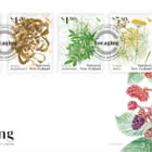PRE-ORDER Foraging First Day Cover
