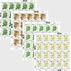 PRE-ORDER Foraging Set of Stamp Sheets