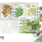 PRE-ORDER Foraging Miniature Sheet First Day Cover
