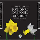 PRE-ORDER Daffodil Society 100 Years