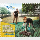 Euromed - Natural Resources of the Mediterranean