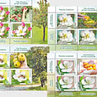 Les Fleurs des Vergers