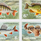 Especies de Peces