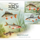 Fischarten