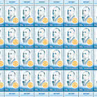 Rotary, Distrito de Rumania, 90 Años Ereván