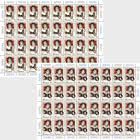 Romanian Boxing Federation, 100 Years