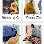 Curiosités de la Faune Sauvage