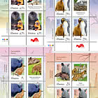 Curiosidades de la Vida Silvestre