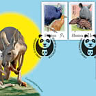 Curiosidades de la Vida Silvestre