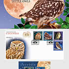 Piccoli gufi