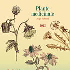 Piante Medicinali