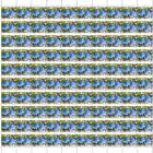 Chicory - Cichorium Intybus L.