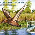 Set Tematico - La Bellezza Naturale della Serbia