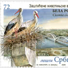 Protected Animal Species