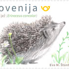 Fauna - Hedgehog - B