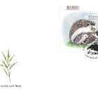 Fauna - Hedgehog