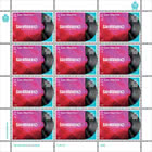 San Marino Song Contest