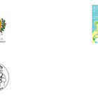 Medizinische Onkologie