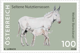 White Baroque Donkey