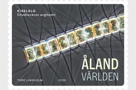 Microalgae