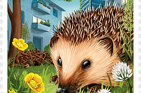 PRE-ORDER Animal of the Year - European Hedgehog