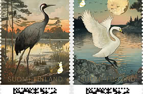 Vögel aus dem Norden