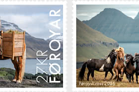 Faroese Horse