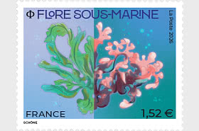 Underwater Flora