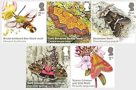 PRE-ORDER Moths