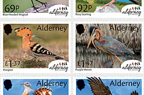PRE-ORDER Vogelwarte Alderney