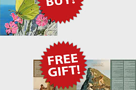 BUY 2023 Year Pack and get 2020 Year Pack FREE! - SPRING OFFER