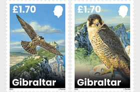 PRE-ORDER Gibraltar - Liechtenstein Joint Issue - Peregrine Falcons