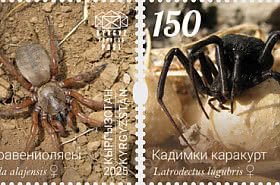 Spiders of Kyrgyzstan