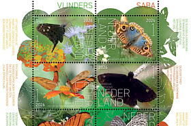 Vivi la Natura - Farfalle Saba